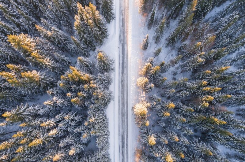 Nordic 015