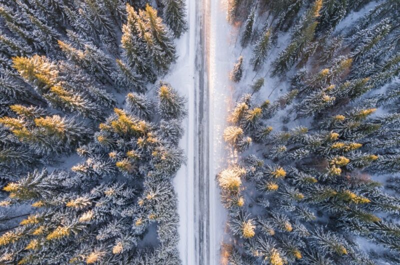 Nordic 015